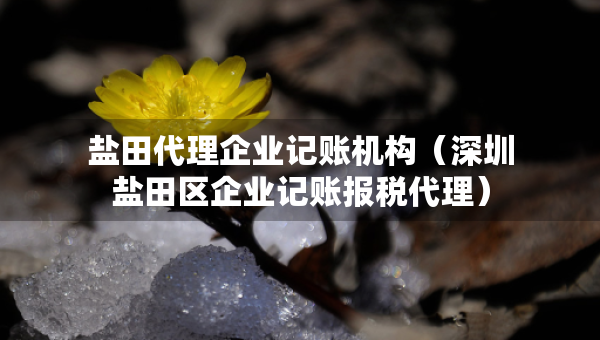鹽田代理企業(yè)記賬機(jī)構(gòu)（深圳鹽田區(qū)企業(yè)記賬報稅代理）