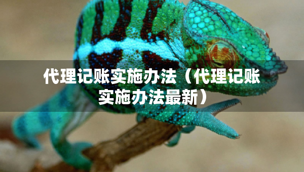 代理記賬實施辦法（代理記賬實施辦法最新）