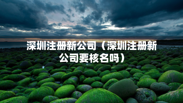 深圳注冊新公司（深圳注冊新公司要核名嗎）