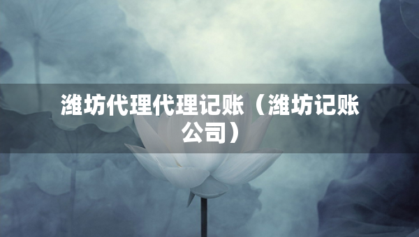 濰坊代理代理記賬（濰坊記賬公司）