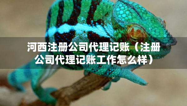 河西注冊公司代理記賬（注冊公司代理記賬工作怎么樣）
