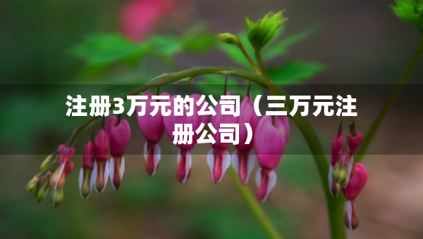 注冊(cè)3萬(wàn)元的公司（三萬(wàn)元注冊(cè)公司）