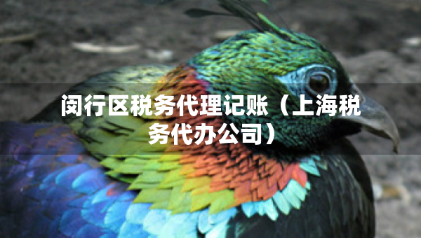 閔行區(qū)稅務(wù)代理記賬（上海稅務(wù)代辦公司）