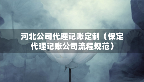 河北公司代理記賬定制（保定代理記賬公司流程規(guī)范）