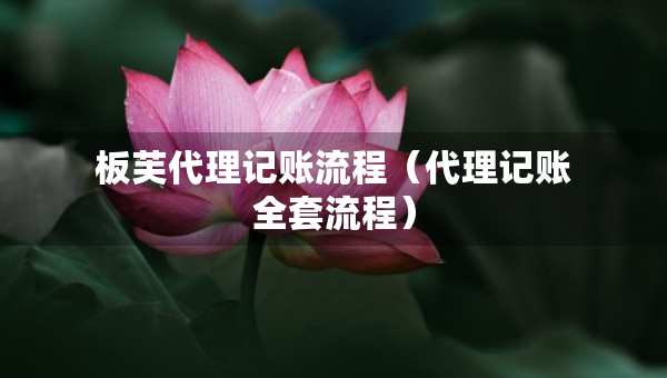 板芙代理記賬流程（代理記賬全套流程）