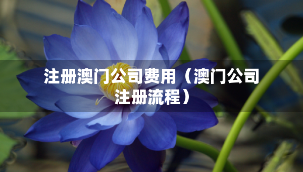 注冊澳門公司費用（澳門公司注冊流程）
