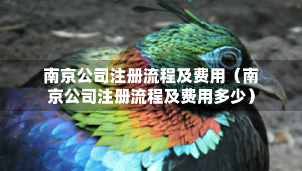 南京公司注冊(cè)流程及費(fèi)用（南京公司注冊(cè)流程及費(fèi)用多少）