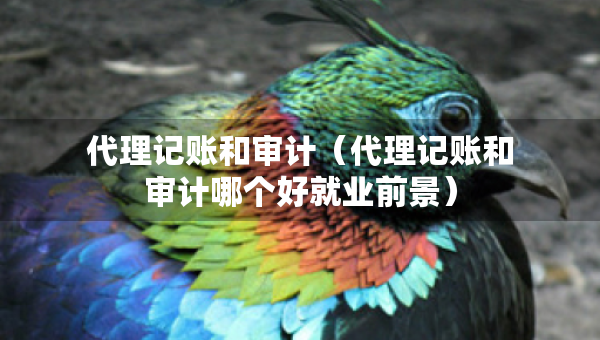 代理記賬和審計（代理記賬和審計哪個好就業(yè)前景）