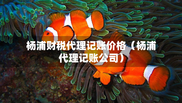 楊浦財稅代理記賬價格（楊浦代理記賬公司）