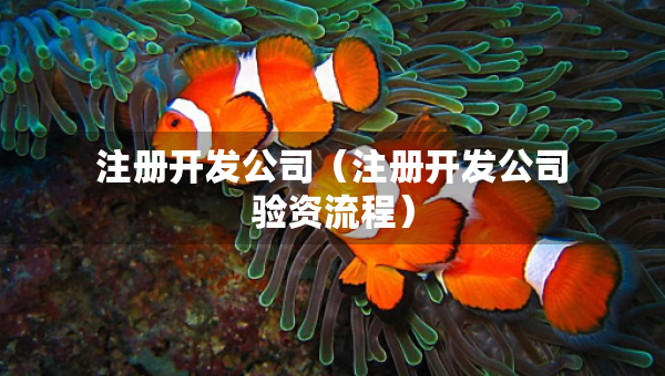 注冊開發(fā)公司（注冊開發(fā)公司驗資流程）