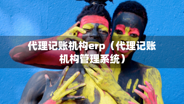 代理記賬機(jī)構(gòu)erp（代理記賬機(jī)構(gòu)管理系統(tǒng)）