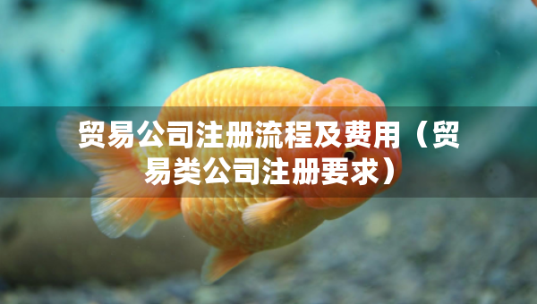貿(mào)易公司注冊流程及費用（貿(mào)易類公司注冊要求）