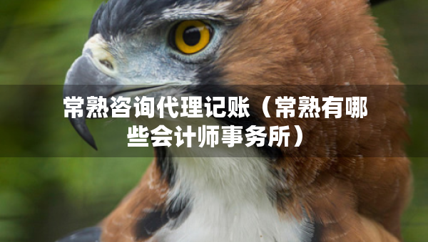 常熟咨詢代理記賬（常熟有哪些會計師事務所）
