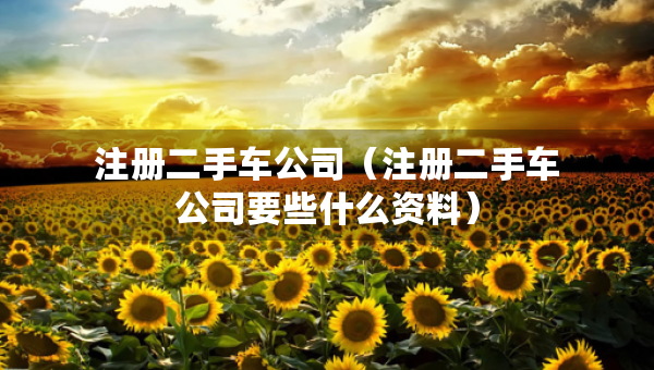 注冊二手車公司（注冊二手車公司要些什么資料）