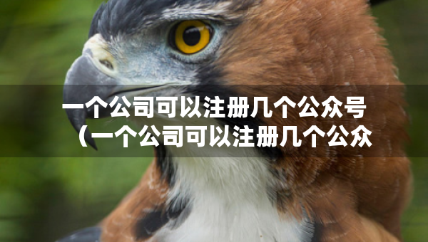 一個公司可以注冊幾個公眾號（一個公司可以注冊幾個公眾號微信）