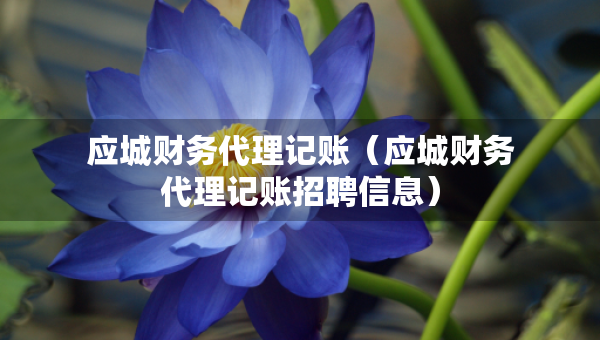 應(yīng)城財(cái)務(wù)代理記賬（應(yīng)城財(cái)務(wù)代理記賬招聘信息）