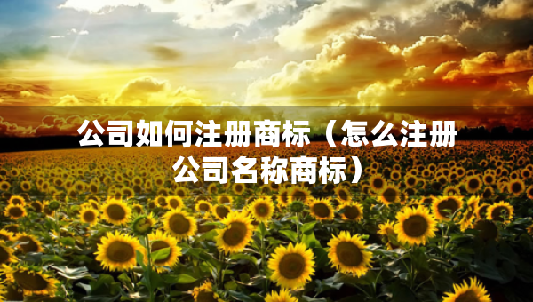 公司如何注冊商標（怎么注冊公司名稱商標）
