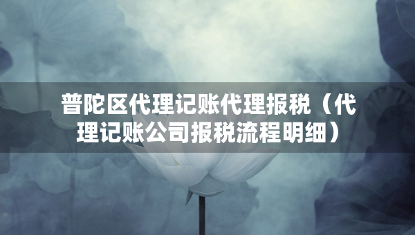 普陀區(qū)代理記賬代理報(bào)稅（代理記賬公司報(bào)稅流程明細(xì)）