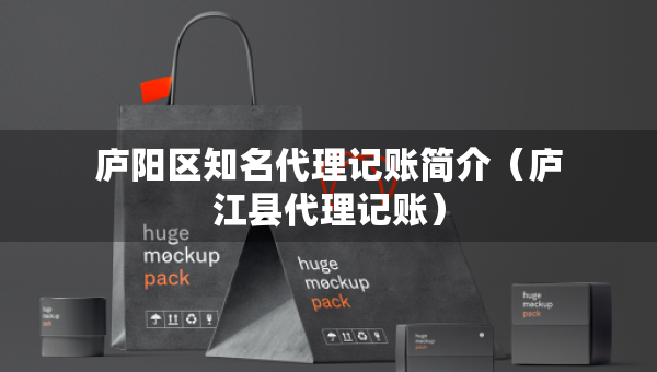 廬陽區(qū)知名代理記賬簡介（廬江縣代理記賬）