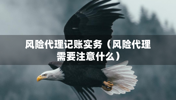 風險代理記賬實務（風險代理需要注意什么）
