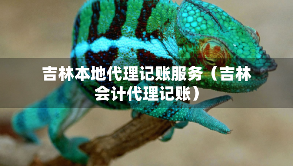 吉林本地代理記賬服務(wù)（吉林會計代理記賬）
