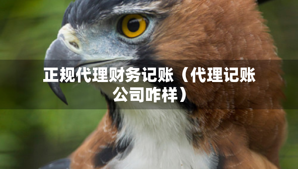 正規(guī)代理財(cái)務(wù)記賬（代理記賬公司咋樣）