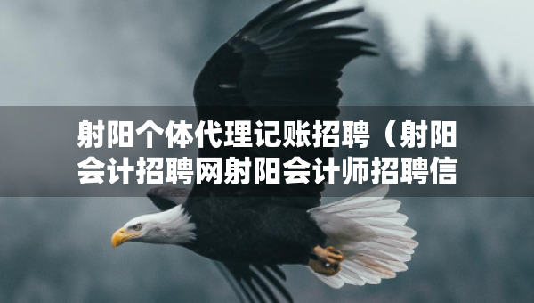 射陽(yáng)個(gè)體代理記賬招聘（射陽(yáng)會(huì)計(jì)招聘網(wǎng)射陽(yáng)會(huì)計(jì)師招聘信息）