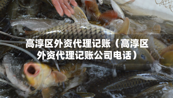 高淳區(qū)外資代理記賬（高淳區(qū)外資代理記賬公司電話）