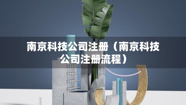 南京科技公司注冊(cè)（南京科技公司注冊(cè)流程）