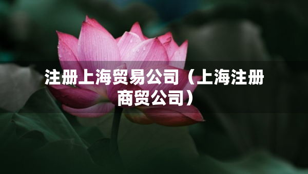 注冊上海貿(mào)易公司（上海注冊商貿(mào)公司）