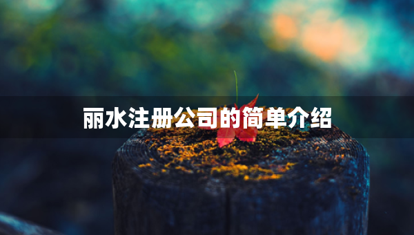 麗水注冊(cè)公司的簡(jiǎn)單介紹