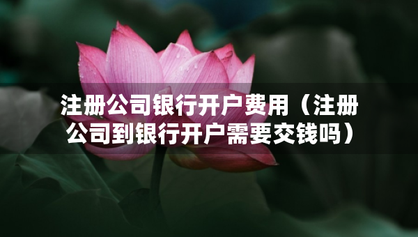 注冊(cè)公司銀行開戶費(fèi)用（注冊(cè)公司到銀行開戶需要交錢嗎）