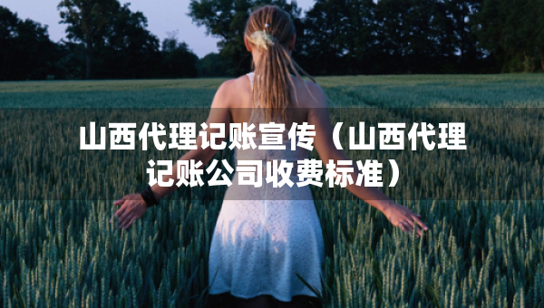 山西代理記賬宣傳（山西代理記賬公司收費(fèi)標(biāo)準(zhǔn)）