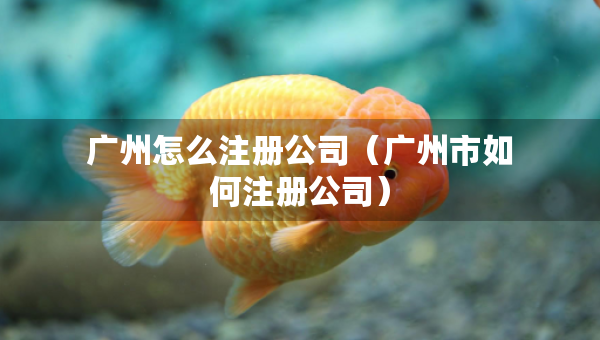 廣州怎么注冊公司（廣州市如何注冊公司）