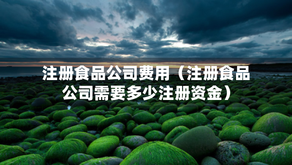 注冊(cè)食品公司費(fèi)用（注冊(cè)食品公司需要多少注冊(cè)資金）