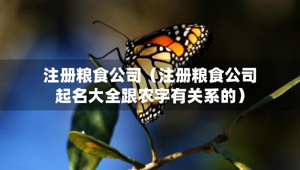注冊糧食公司（注冊糧食公司起名大全跟農(nóng)字有關(guān)系的）