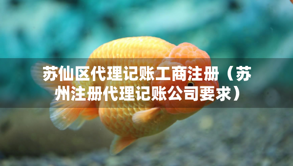 蘇仙區(qū)代理記賬工商注冊（蘇州注冊代理記賬公司要求）