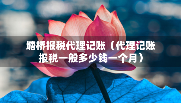 塘橋報稅代理記賬（代理記賬報稅一般多少錢一個月）
