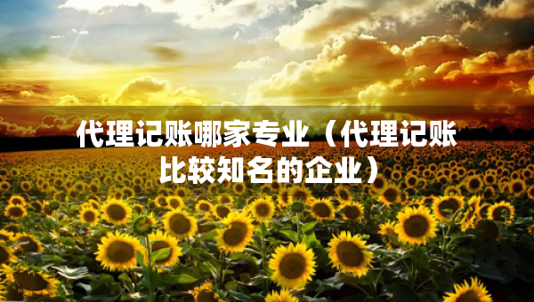 代理記賬哪家專業(yè)（代理記賬比較知名的企業(yè)）
