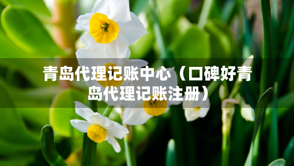 青島代理記賬中心（口碑好青島代理記賬注冊(cè)）