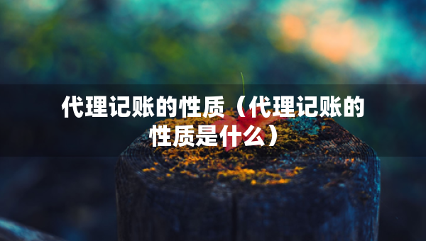 代理記賬的性質(zhì)（代理記賬的性質(zhì)是什么）