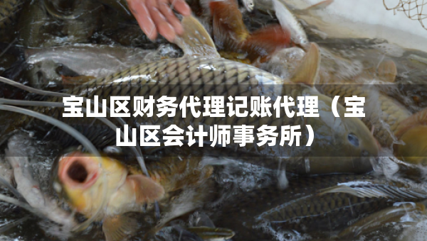 寶山區(qū)財務(wù)代理記賬代理（寶山區(qū)會計師事務(wù)所）