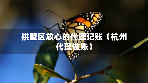 拱墅區(qū)放心的代理記賬（杭州代理做賬）