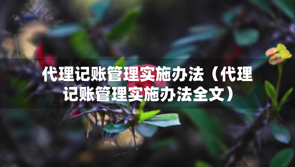代理記賬管理實施辦法（代理記賬管理實施辦法全文）