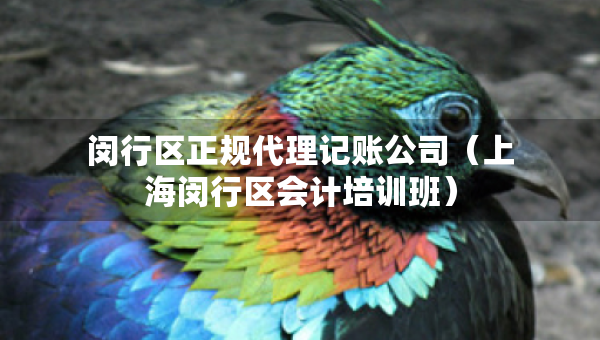 閔行區(qū)正規(guī)代理記賬公司（上海閔行區(qū)會計培訓班）