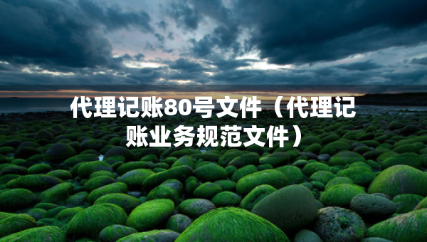 代理記賬80號(hào)文件（代理記賬業(yè)務(wù)規(guī)范文件）