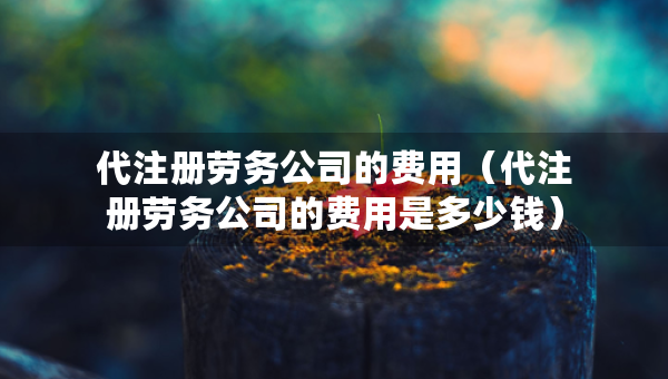 代注冊(cè)勞務(wù)公司的費(fèi)用（代注冊(cè)勞務(wù)公司的費(fèi)用是多少錢）