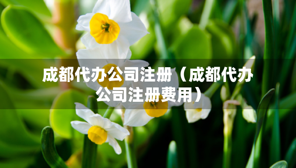 成都代辦公司注冊(cè)（成都代辦公司注冊(cè)費(fèi)用）