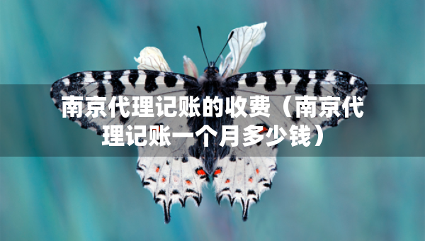 南京代理記賬的收費（南京代理記賬一個月多少錢）