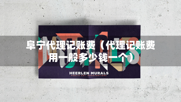 阜寧代理記賬費(fèi)（代理記賬費(fèi)用一般多少錢一個(gè)）